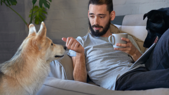 Din hund kan förstå dig bättre än du kanske trott